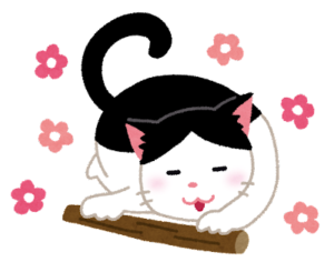 住信sbi Gmoあおぞら 信用金庫 資本金２０万円のマイクロ法人で法人銀行口座を３行開設できた話